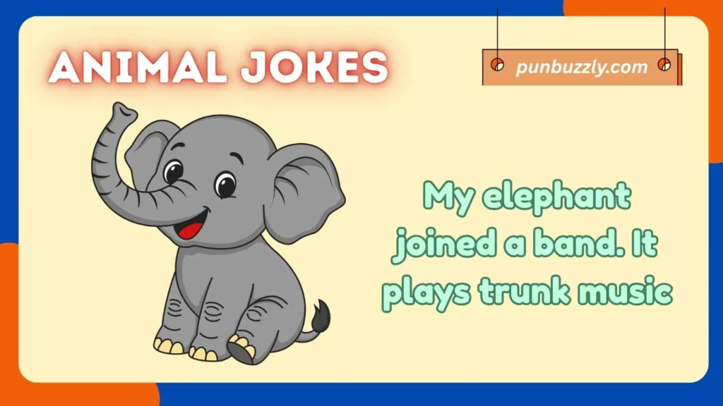 Elephant Jokes