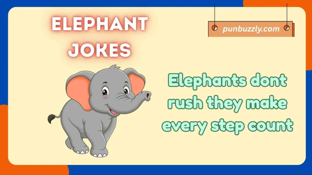 Elephant One Liners