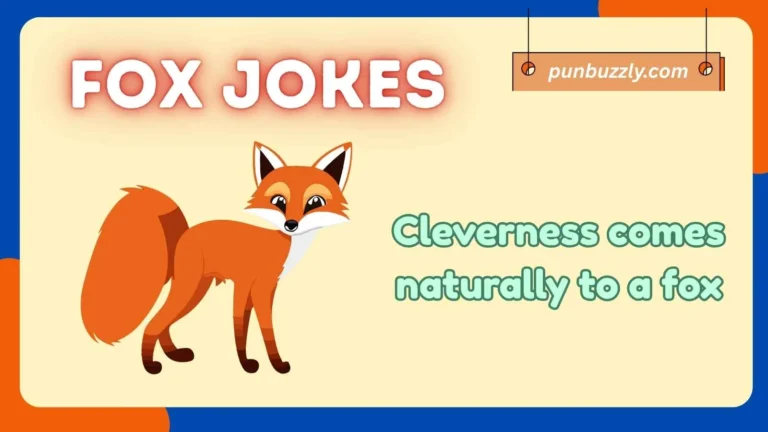 fox jokes