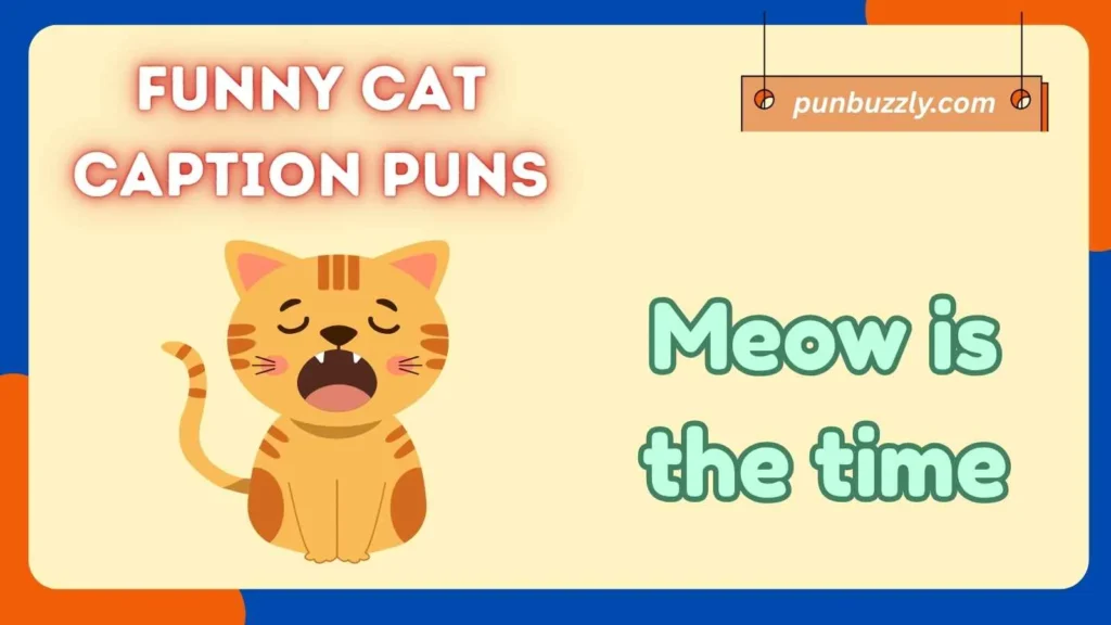 Funny Cat Caption Puns