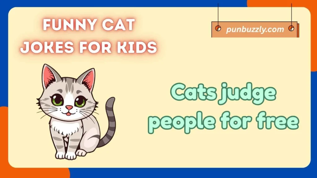 Funny Cat Jokes for Kids