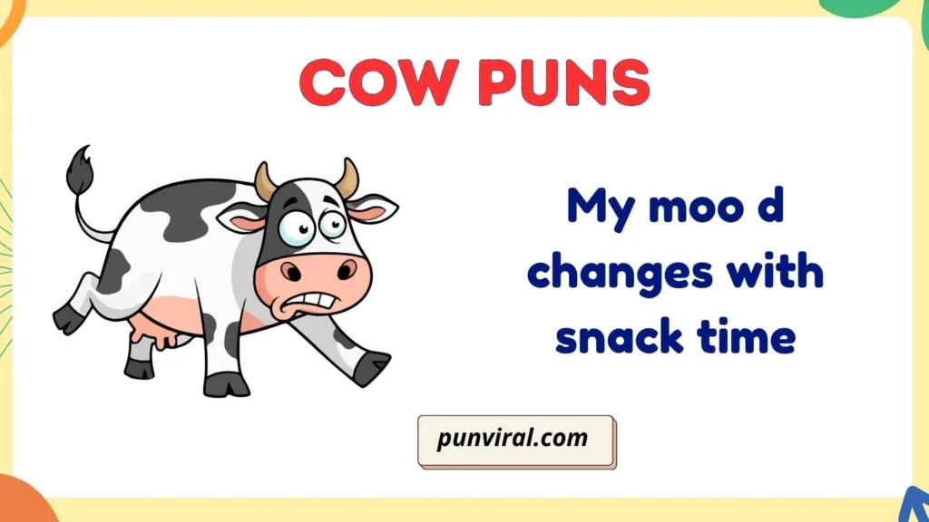 Funny Cow Puns