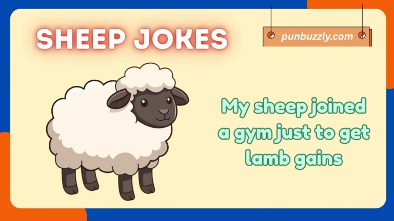 sheep jokes