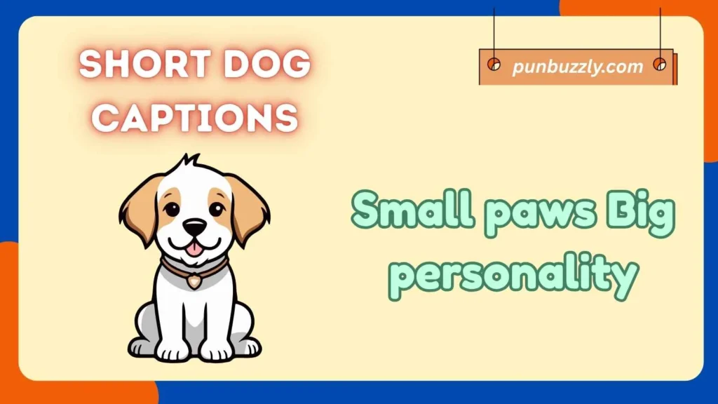 Short Dog Captions