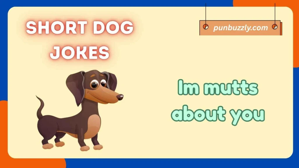 Short Dog Jokes