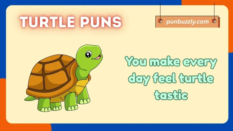 turtle puns
