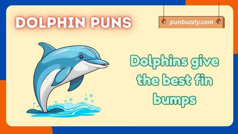 dolphin puns